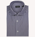 Zegna Stripe Dress Shirt in Navy White